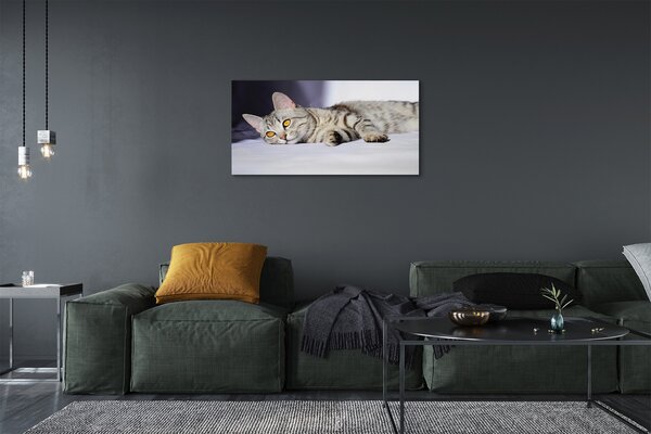 Quadro su tela Gatto bugiardo 100x50 cm