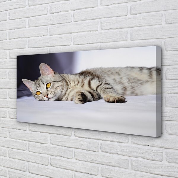 Quadro su tela Gatto bugiardo 100x50 cm