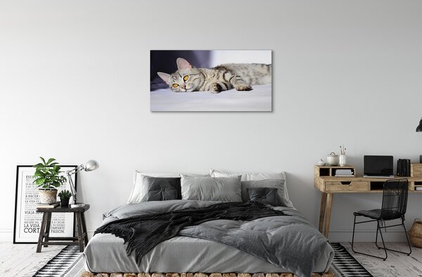 Quadro su tela Gatto bugiardo 100x50 cm