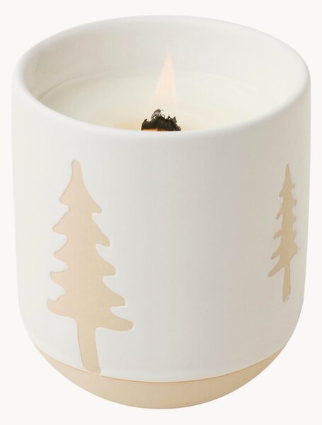 Candela profumata Forest (cipresso & abete)