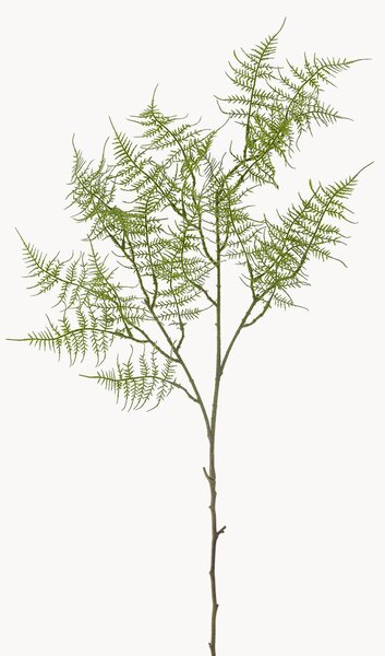 Set di 2 piante artificiali Fern