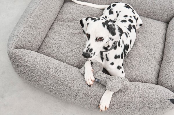 Cuccia per cani grigia in bouclé 71x91 cm Senso Pebble M - MiaCara