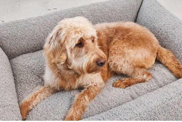 Cuccia per cani grigia in bouclé 71x91 cm Senso Pebble M - MiaCara