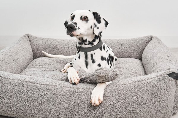 Cuccia per cani grigia in bouclé 71x91 cm Senso Pebble M - MiaCara
