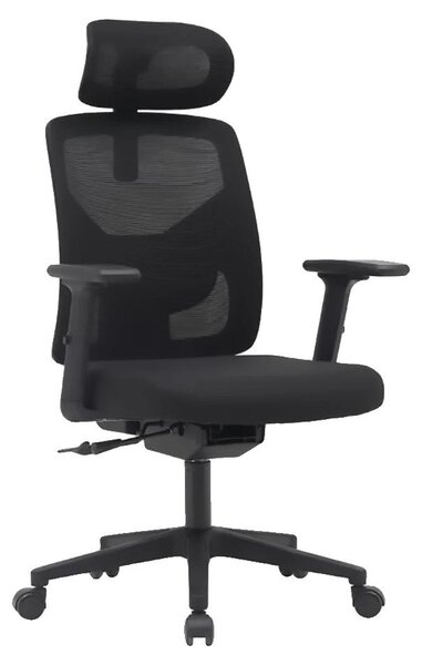 Sedia da ufficio, design ergonomico, funzioni regolabili, nera