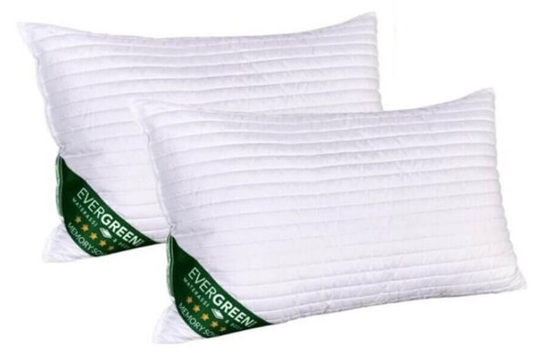 CuscinI memory soya 1 cuscino 40x70 cm