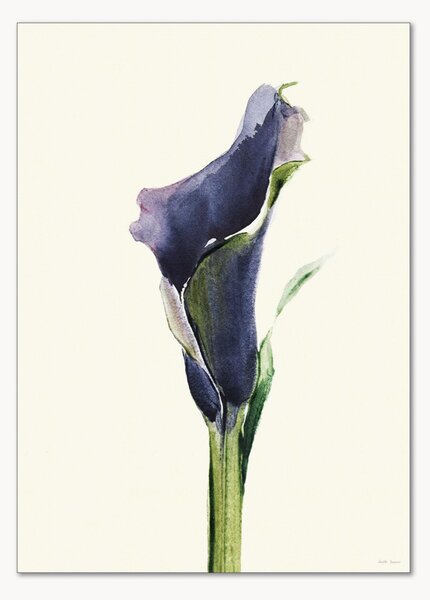 Poster Calla Nero 1