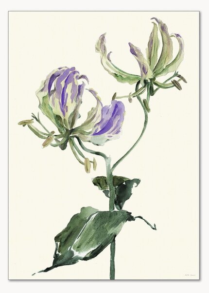 Poster Gloriosa