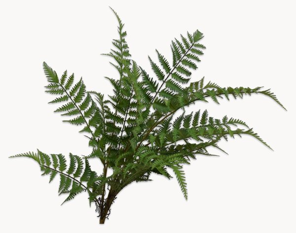 Set di 2 piante artificiali Fern