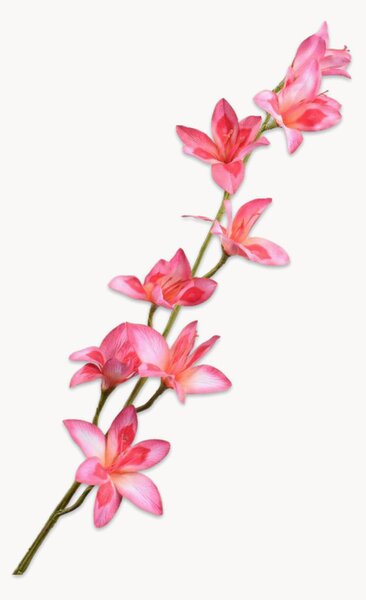 Set di 2 fiori artificiali Gladiool
