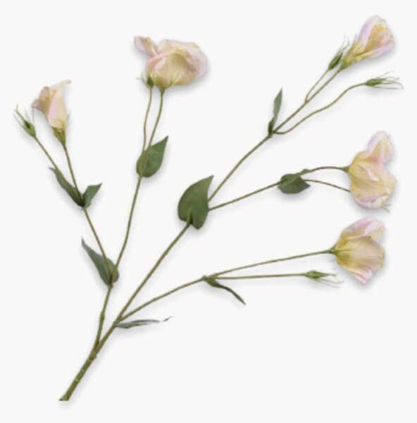 Set di 2 fiori artificiali Lisianthus