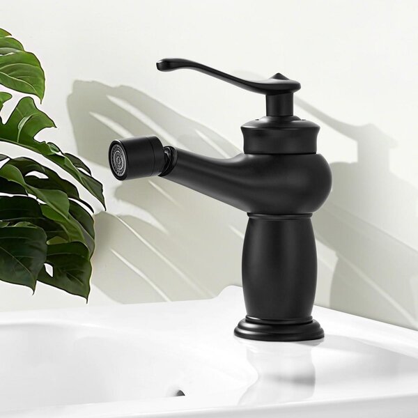 Miscelatore monocomando per bidet, colore nero, con bocchetta girevole, attacco G3/8