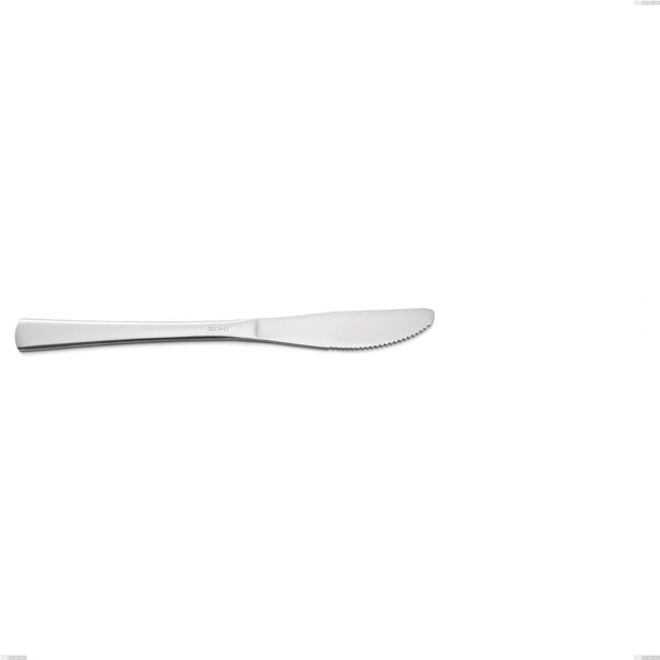 Coltello frutta economico doram, Acciaio inox Aisi 304 lucido, spessore 2.5 mm, lunghezza 188 mm