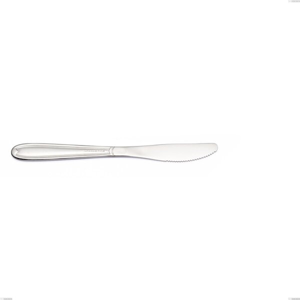 Coltello frutta economico Euro, 18/10 (AISI304), spessore 2,00 mm, Lunghezza 192 mm