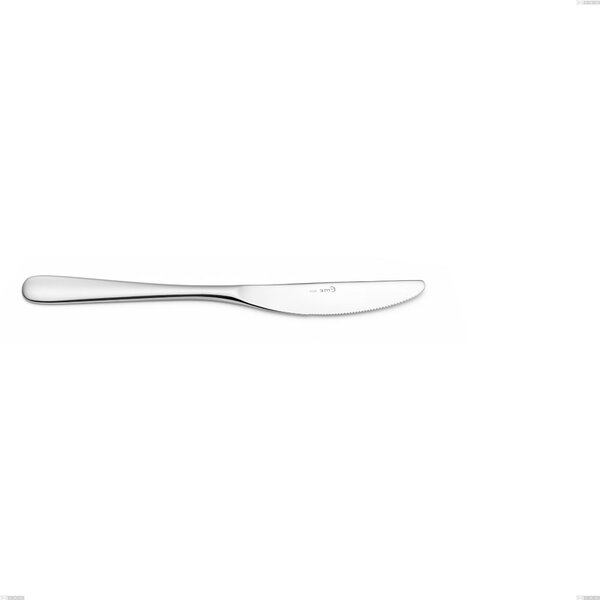 Coltello frutta Hotel, Acciaio inox 18.10 (AISI304), spessore 2.5 mm, lunghezza 204 mm inox lucido