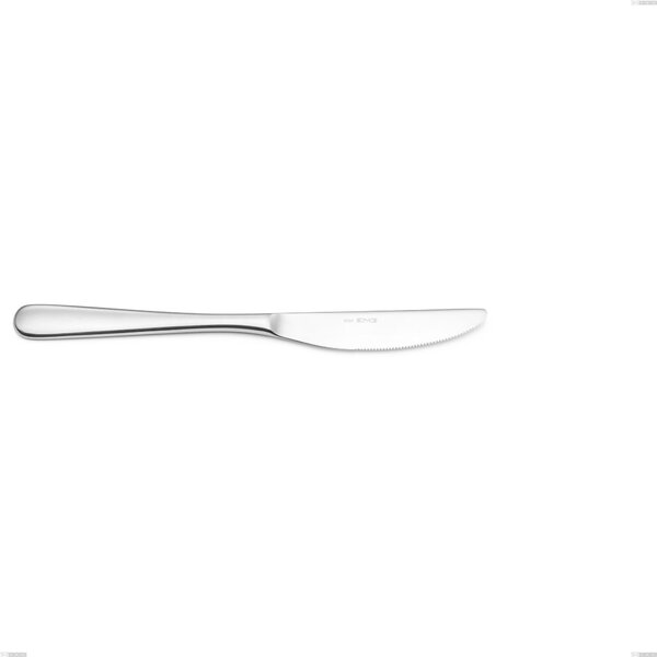 Coltello da tavola HOTEL in acciaio 18.10 AISI430 manico in acciaio lucido lunghezza 224 mm lavabili in lavastoviglie
