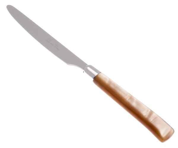 Coltello tavola seghettato MOD Giada Set di 6 Pezzi in acciaio 18.10 Lunghezza 26 cm manico in PBT lavabile in lavastoviglie colore Champagne