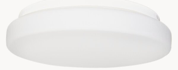 Plafoniera a LED con luce regolabile Ocean II