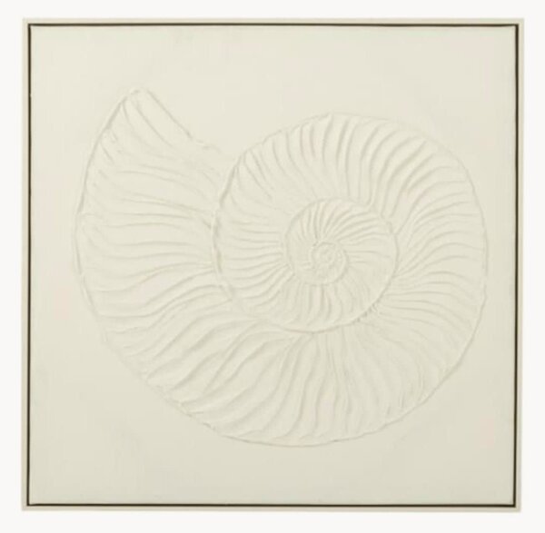 Decorazione da parete incorniciata Shell