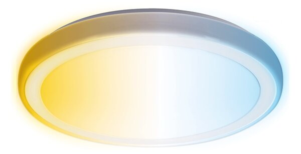 Aigostar - Plafoniera LED da bagno LED/24W/230V IP44 + telecomando