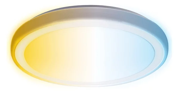 Aigostar - Plafoniera LED da bagno LED/24W/230V IP44 + telecomando