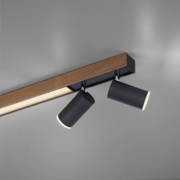 Paul Neuhaus 6121-79 - Luce LED dimmerabile PURE 4xLED/4W/230V + LED/9W + +TC
