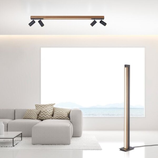 Paul Neuhaus 6121-79 - Luce LED dimmerabile PURE 4xLED/4W/230V + LED/9W + +TC