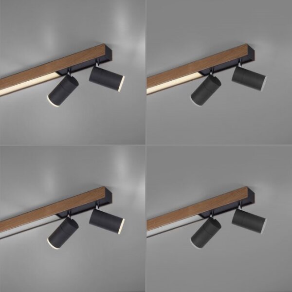 Paul Neuhaus 6121-79 - Luce LED dimmerabile PURE 4xLED/4W/230V + LED/9W + +TC