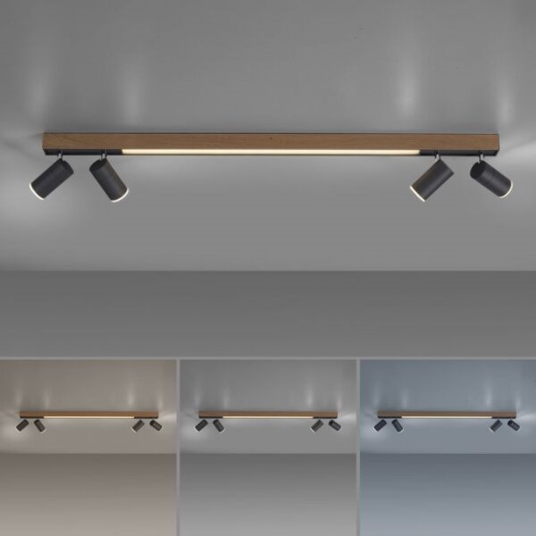 Paul Neuhaus 6121-79 - Luce LED dimmerabile PURE 4xLED/4W/230V + LED/9W + +TC