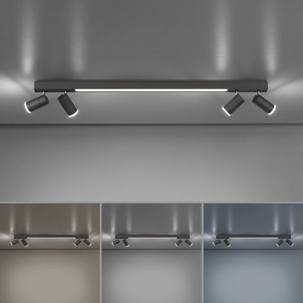 Paul Neuhaus 6121-13 - Faretto LED dimmerabile 4xLED/4W/230V + LED/9W+RC