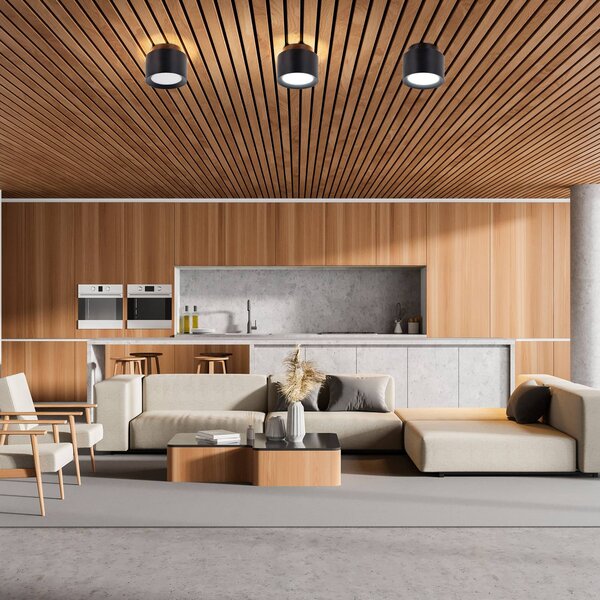 Näve Plafoniera a LED Trimes, dimmerabile, Nero, Soggiorno / Sala da pranzo, Plastica, Plafoniera LED