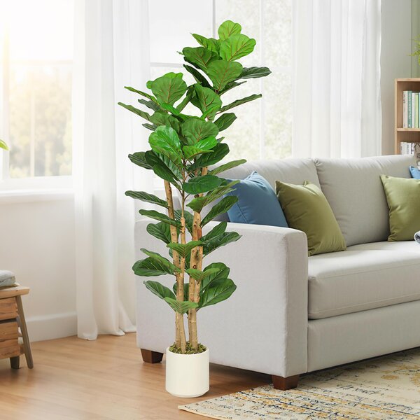 HOMCOM Pianta di Fico Artificiale Verde in PEVA e Legno con Vaso Contenitore in PP e Cemento, 50x50x150 cm | Aosom Italy