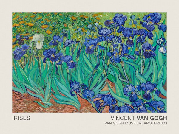 Stampa artistica Irises Museum Vintage Floral Flower Landscape - Vincent van Gogh, (40 x 30 cm)