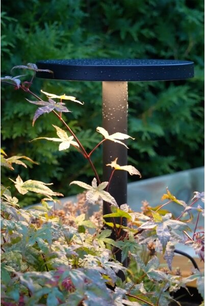 Markslöjd 108173 - Lampada da esterno LED GARDEN24 LED/5W/24V 96 cm IP44 nera
