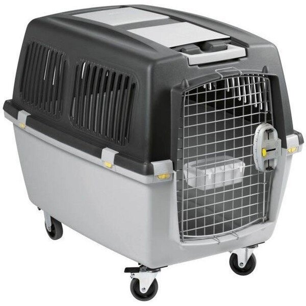 Scatola da trasporto Gulliver 52 × 51 × 72 cm grigio chiaro/grigio scuro