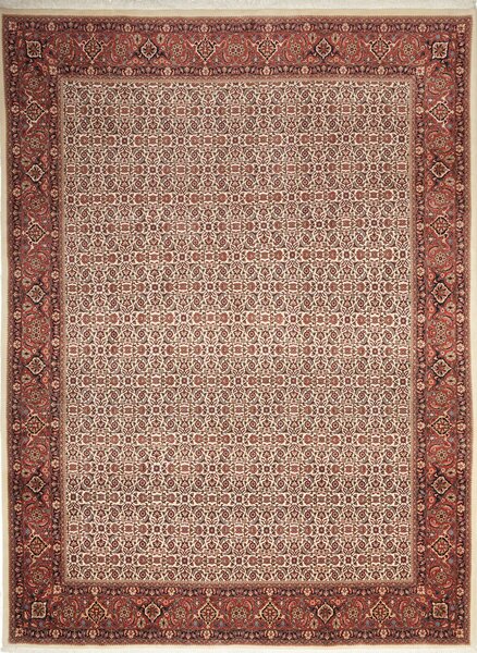 Tappeto Bidjar Con Seta Persia Floreale Crema Rosso 250x337 Cm