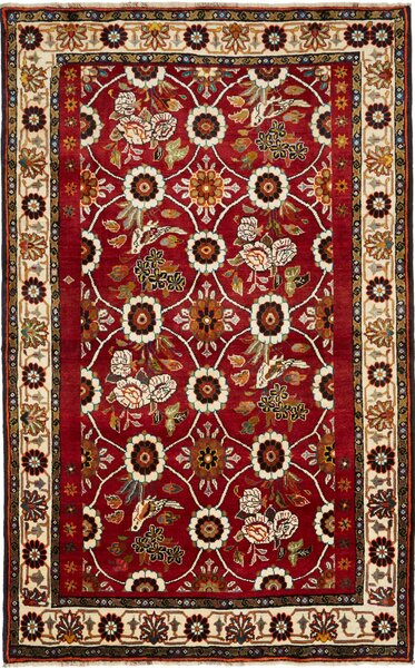 Tappeto Shiraz Persia Floreale Rosso Crema 155x245 Cm