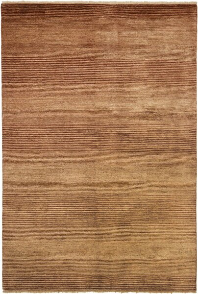 Tappeto Shayan Pakistan Astratto Marrone Sfumato 169x250 Cm