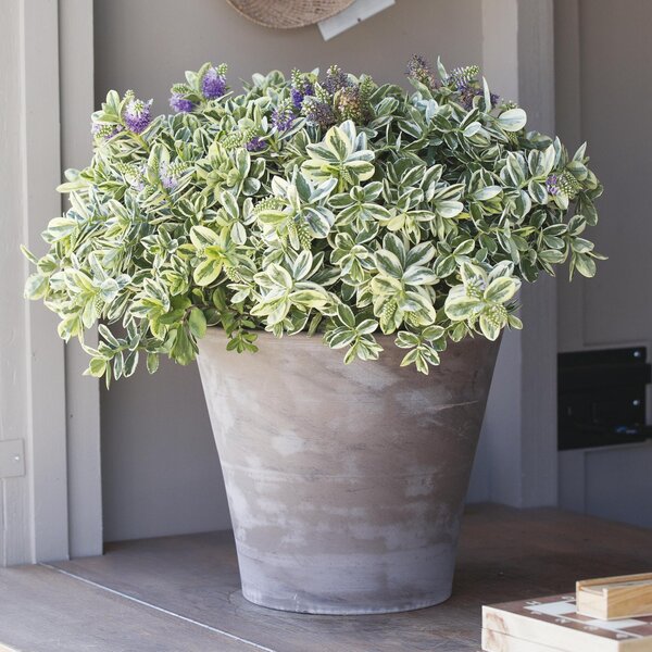 Vaso per piante e fiori Rio Basalt in terracotta colore Basalt H 23 cm, Ø 26 cm