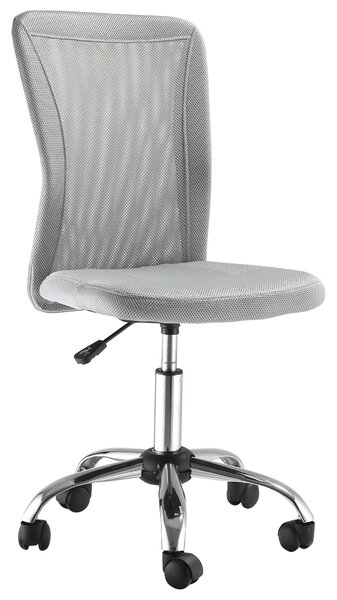 Vinsetto Sedia da Ufficio Ergonomica Girevole, Altezza Regolabile, 5 Ruote, Schienale curvato e Traspirante, 43x46x100cm, Grigio | Aosom Italy