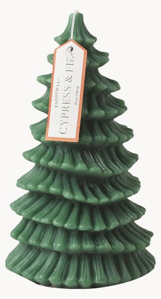 Candela a pilastro Cypress & Fir