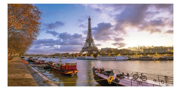Dipinto su tela Paris Tour Eiffel 140x70 cm