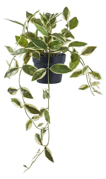 Pianta artificiale (altezza 33 cm) Hoya Carnosa - House Nordic