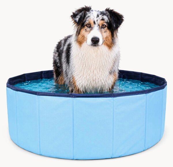 Piscina per cani Premium