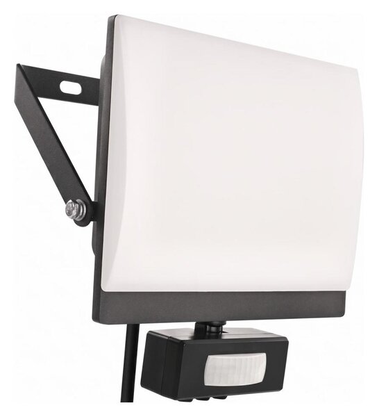 Proiettore LED con sensore di movimento TAMBO EVO LED/30W/230V 4000K IP44 nero