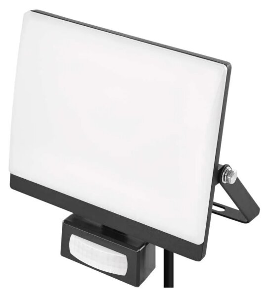 Proiettore LED con sensore di movimento TAMBO EVO LED/30W/230V 4000K IP44 nero