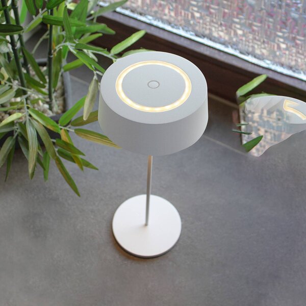 Eco-Light Lampada LED tavolo accu Cocktail, dimming, bianco
