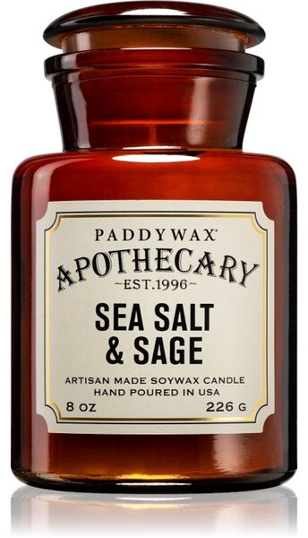 Paddywax Apothecary Sea Salt & Sage candela profumata 226 g