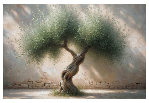 Quadro su tela – Ulivo in cortile di pietra