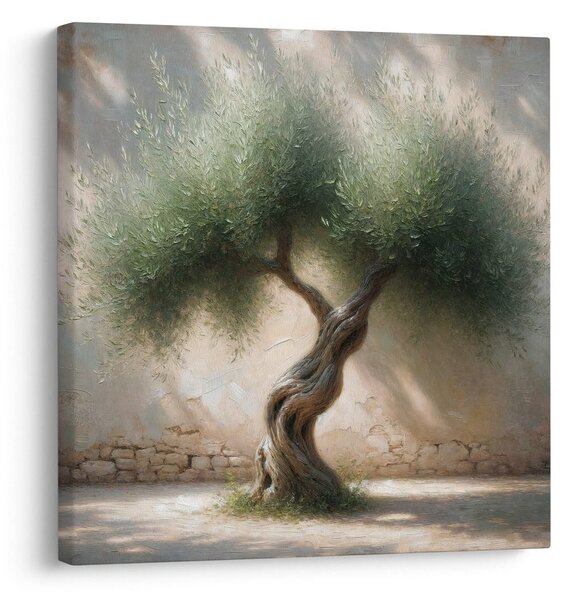 Quadro su tela – Vecchio ulivo nel Mediterraneo